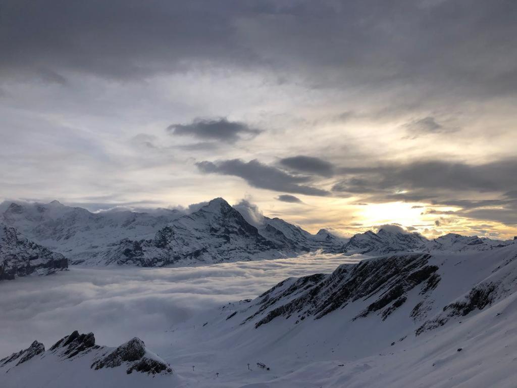 Chalet Caramelle Grindelwald Esterno foto