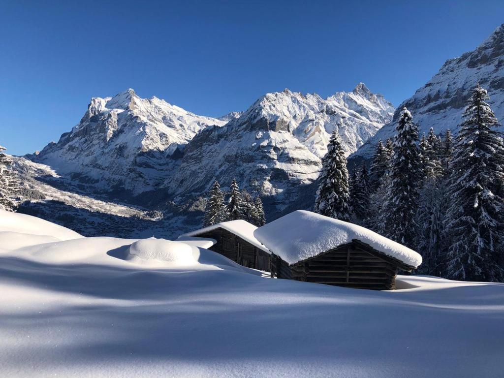 Chalet Caramelle Grindelwald Esterno foto