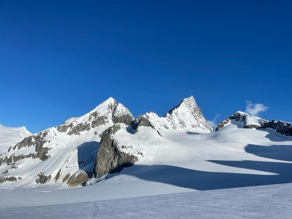 Chalet Caramelle Grindelwald Esterno foto